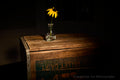 Black Eyed Susan On Box