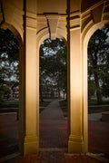 ECU Cupola Interior