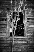 Edgecomb Window (b&w)
