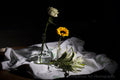 Flowers In Clear Vase
