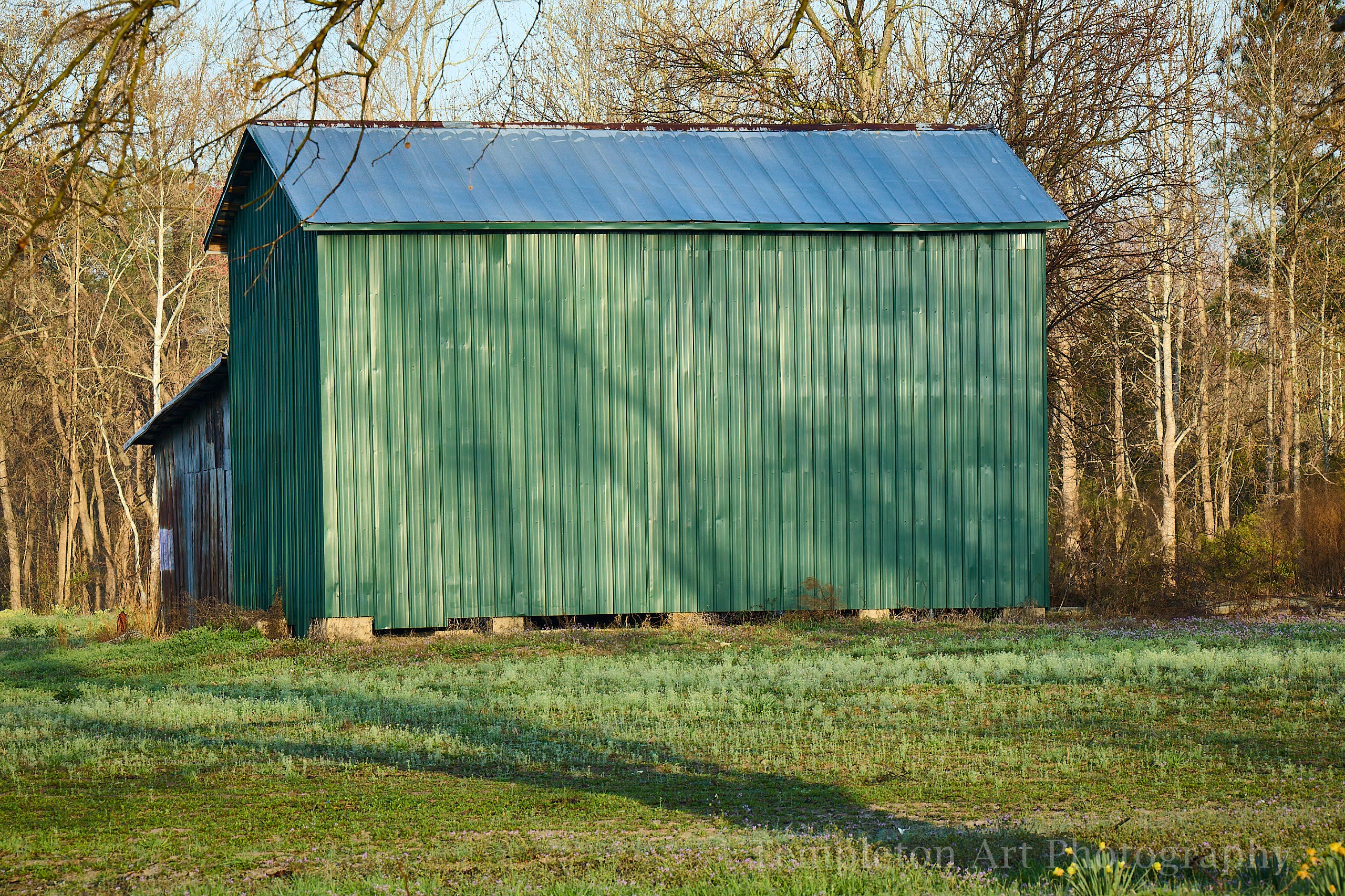 Green Shed