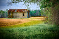 Lonely Shed