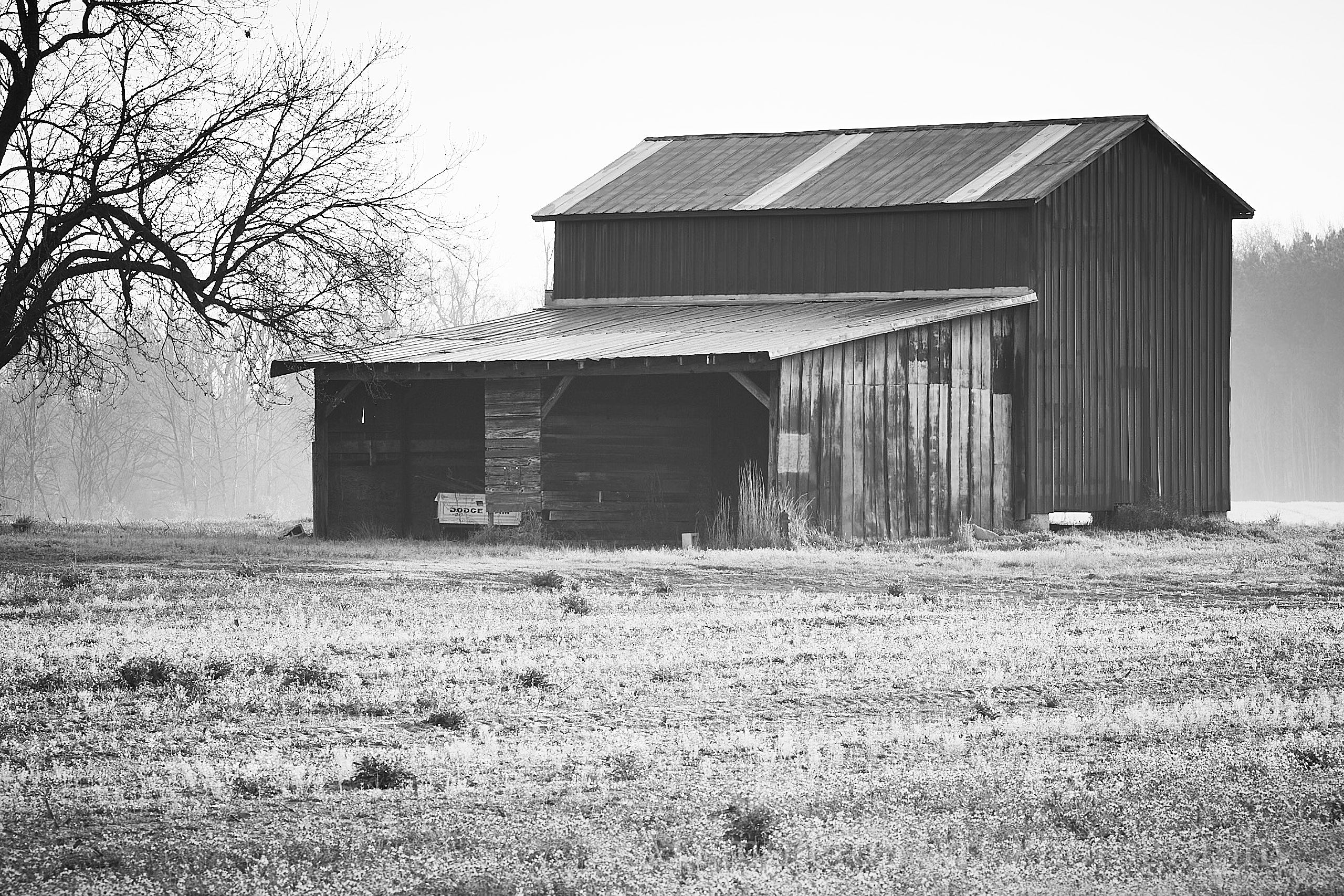 Shed With Truck